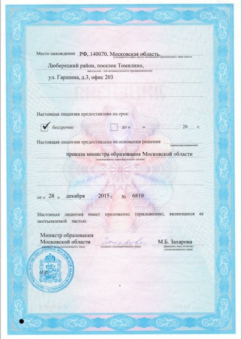 Лицензия на осуществление образовательной деятельности (2 стр.)